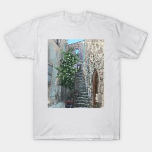 Avignon,France T-Shirt